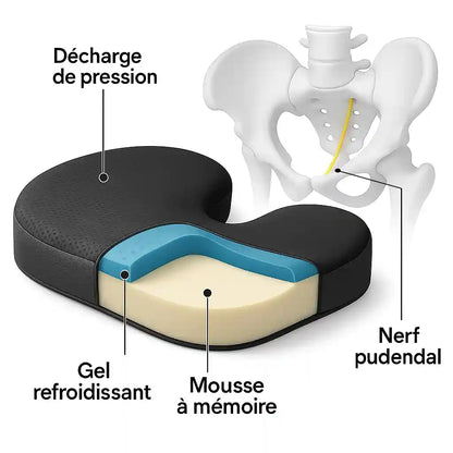 Ergonomisch Kussen voor Pudendal Neuralgie en Langdurig Zitten" can be rewritten as:

"Ergonomisch Kussen voor Comfort bij Pudendal Neuralgie en Langdurig Zitten
