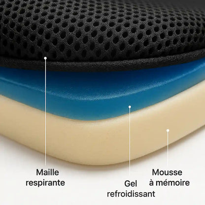 Ergonomisch Kussen voor Pudendal Neuralgie en Langdurig Zitten" can be rewritten as:

"Ergonomisch Kussen voor Comfort bij Pudendal Neuralgie en Langdurig Zitten